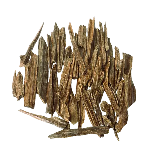 الدرجة البرونزية